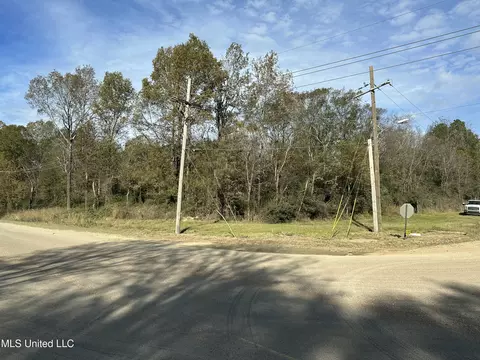 W County Line Road, Jackson, MS 39213 photo 2