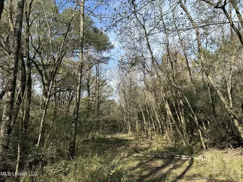 W County Line Road, Jackson, MS 39213 photo 4