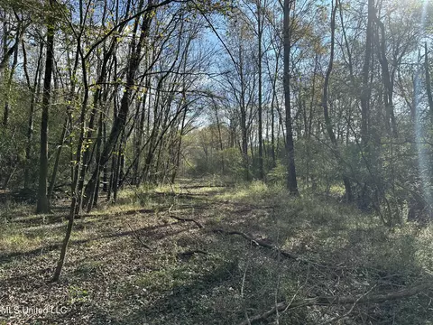 W County Line Road, Jackson, MS 39213 photo 6