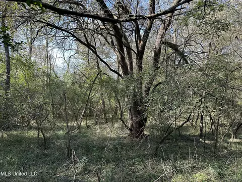 W County Line Road, Jackson, MS 39213 photo 5