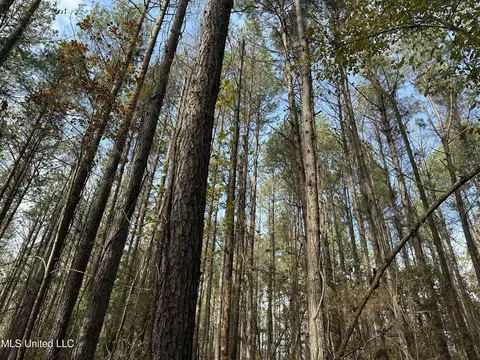 W County Line Road, Jackson, MS 39213 photo 11
