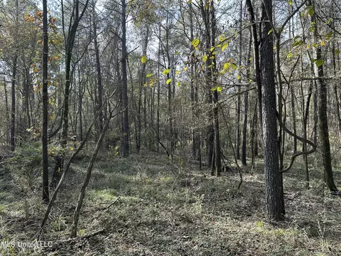W County Line Road, Jackson, MS 39213 photo 12