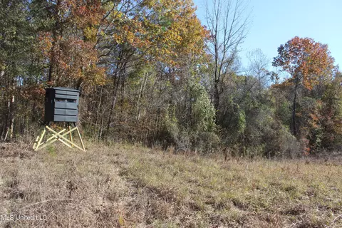 2000 Highway 35, West, MS 39192 photo 19