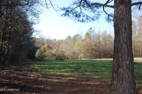 2000 Highway 35, West, MS 39192 photo 23