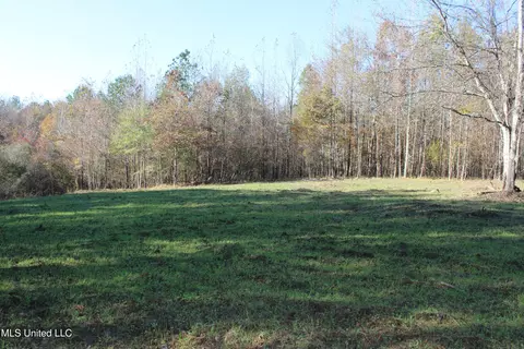 2000 Highway 35, West, MS 39192 photo 24