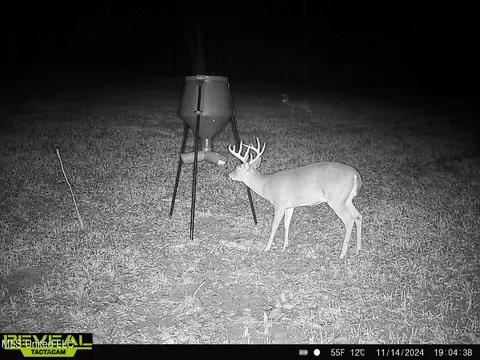 2000 Highway 35, West, MS 39192 photo 38
