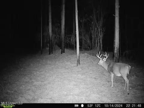 2000 Highway 35, West, MS 39192 photo 40