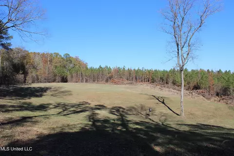 2000 Highway 35, West, MS 39192 photo 9