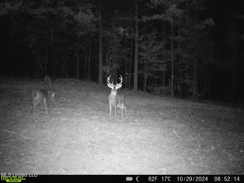 2000 Highway 35, West, MS 39192 photo 45