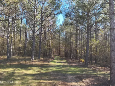 2000 Highway 35, West, MS 39192 photo 7