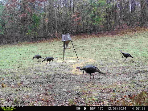 2000 Highway 35, West, MS 39192 photo 44