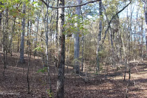 2000 Highway 35, West, MS 39192 photo 37