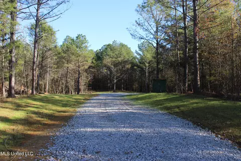 2000 Highway 35, West, MS 39192 photo 5