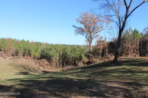 2000 Highway 35, West, MS 39192 photo 10
