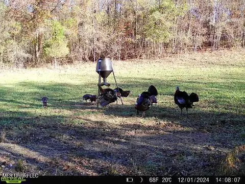 2000 Highway 35, West, MS 39192 photo 43
