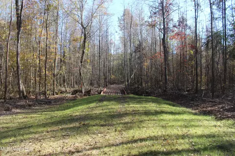 2000 Highway 35, West, MS 39192 photo 15