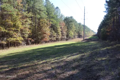 2000 Highway 35, West, MS 39192 photo 26