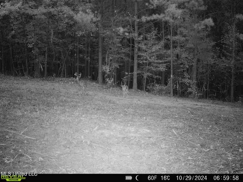 2000 Highway 35, West, MS 39192 photo 46
