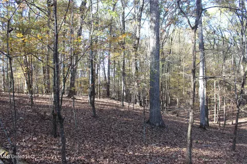 2000 Highway 35, West, MS 39192 photo 35