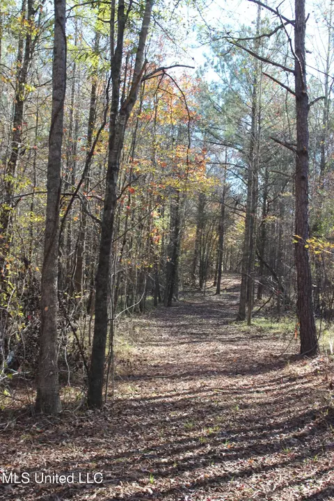 2000 Highway 35, West, MS 39192 photo 28