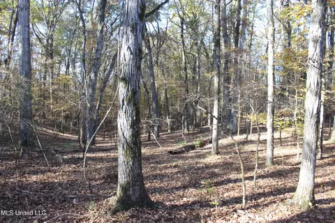 2000 Highway 35, West, MS 39192 photo 33