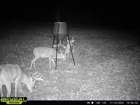 2000 Highway 35, West, MS 39192 photo 39