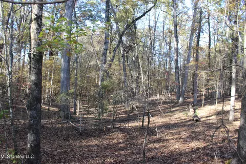 2000 Highway 35, West, MS 39192 photo 36
