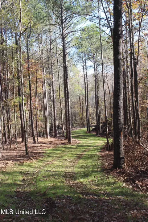 2000 Highway 35, West, MS 39192 photo 14