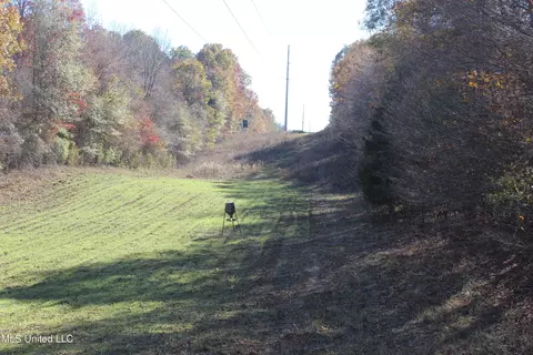 2000 Highway 35, West, MS 39192 photo 20
