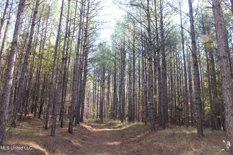 2000 Highway 35, West, MS 39192 photo 31