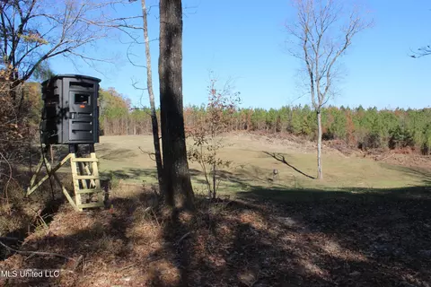 2000 Highway 35, West, MS 39192 photo 8