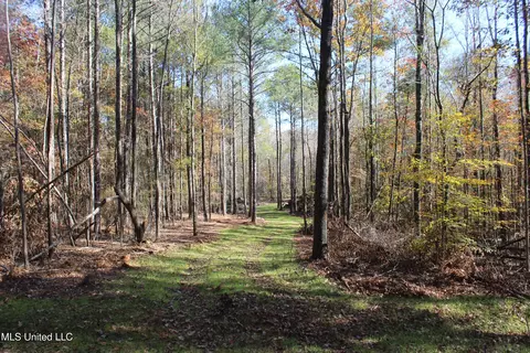 2000 Highway 35, West, MS 39192 photo 13