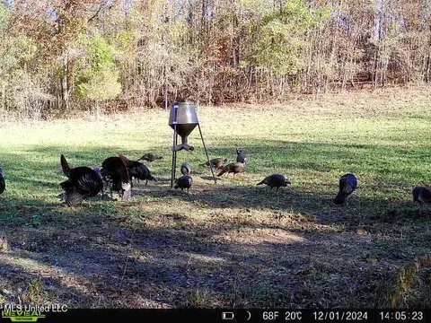 2000 Highway 35, West, MS 39192 photo 41