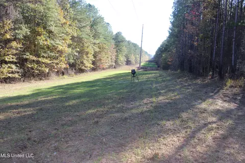 2000 Highway 35, West, MS 39192 photo 22