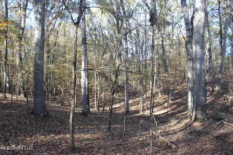 2000 Highway 35, West, MS 39192 photo 34