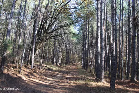2000 Highway 35, West, MS 39192 photo 29