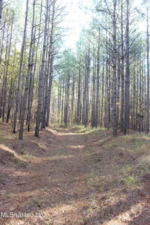 2000 Highway 35, West, MS 39192 photo 30