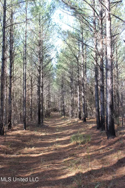 2000 Highway 35, West, MS 39192 photo 32
