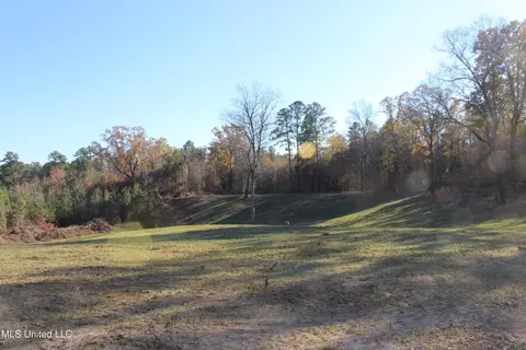 2000 Highway 35, West, MS 39192 photo 11