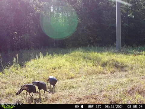 2000 Highway 35, West, MS 39192 photo 47