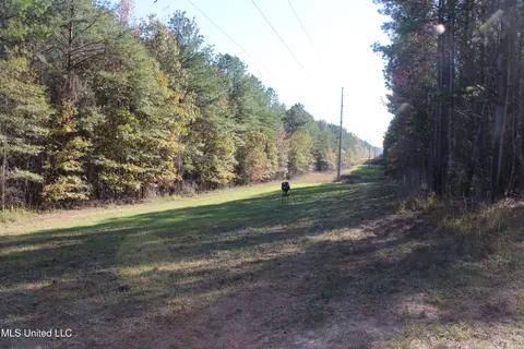 2000 Highway 35, West, MS 39192 photo 25