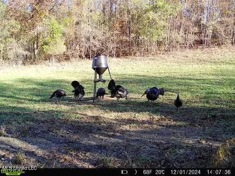 2000 Highway 35, West, MS 39192 photo 42