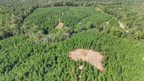 3136 NE Quentin Rd, Mccall Creek, MS 39647