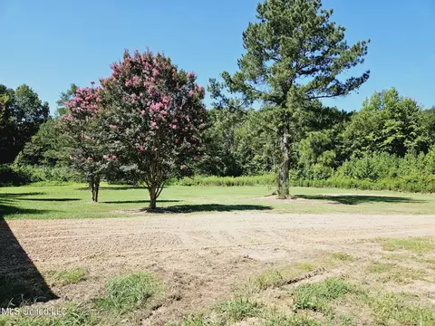 230 Burke Rd, Florence, MS 39073 photo 27