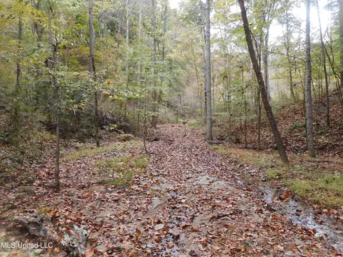 Smith Road, Satartia, MS 39162 photo 10