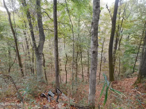 Smith Road, Satartia, MS 39162 photo 4