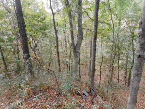 Smith Road, Satartia, MS 39162 photo 9