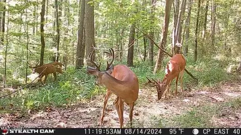 Smith Road, Satartia, MS 39162 photo 3