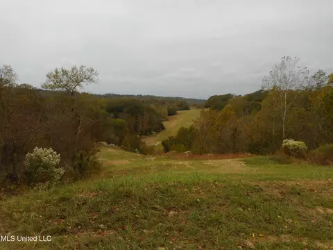 Smith Road, Satartia, MS 39162 photo 5
