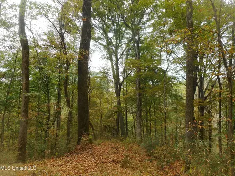 Smith Road, Satartia, MS 39162 photo 11